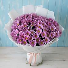 Букет цветов из:  Хризантемы в Серпухов-15