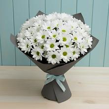 Букет цветов из:  Хризантемы в Серпухов-15