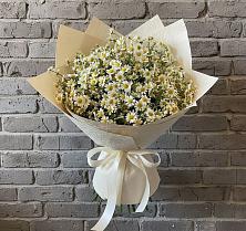 Букет цветов из:  Ромашки в Серпухов-15