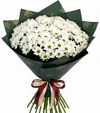 Букет цветов из:  Хризантемы #REPLACE_PRED# Серпухов-15