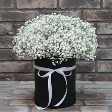 Цветочная композиция из Гипсофила в шляпной коробке в Серпухов-15