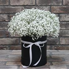 Цветочная композиция из Гипсофила в шляпной коробке в Серпухов-15