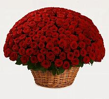 Премиум букет из: Розы #REPLACE_PRED# Серпухов-15